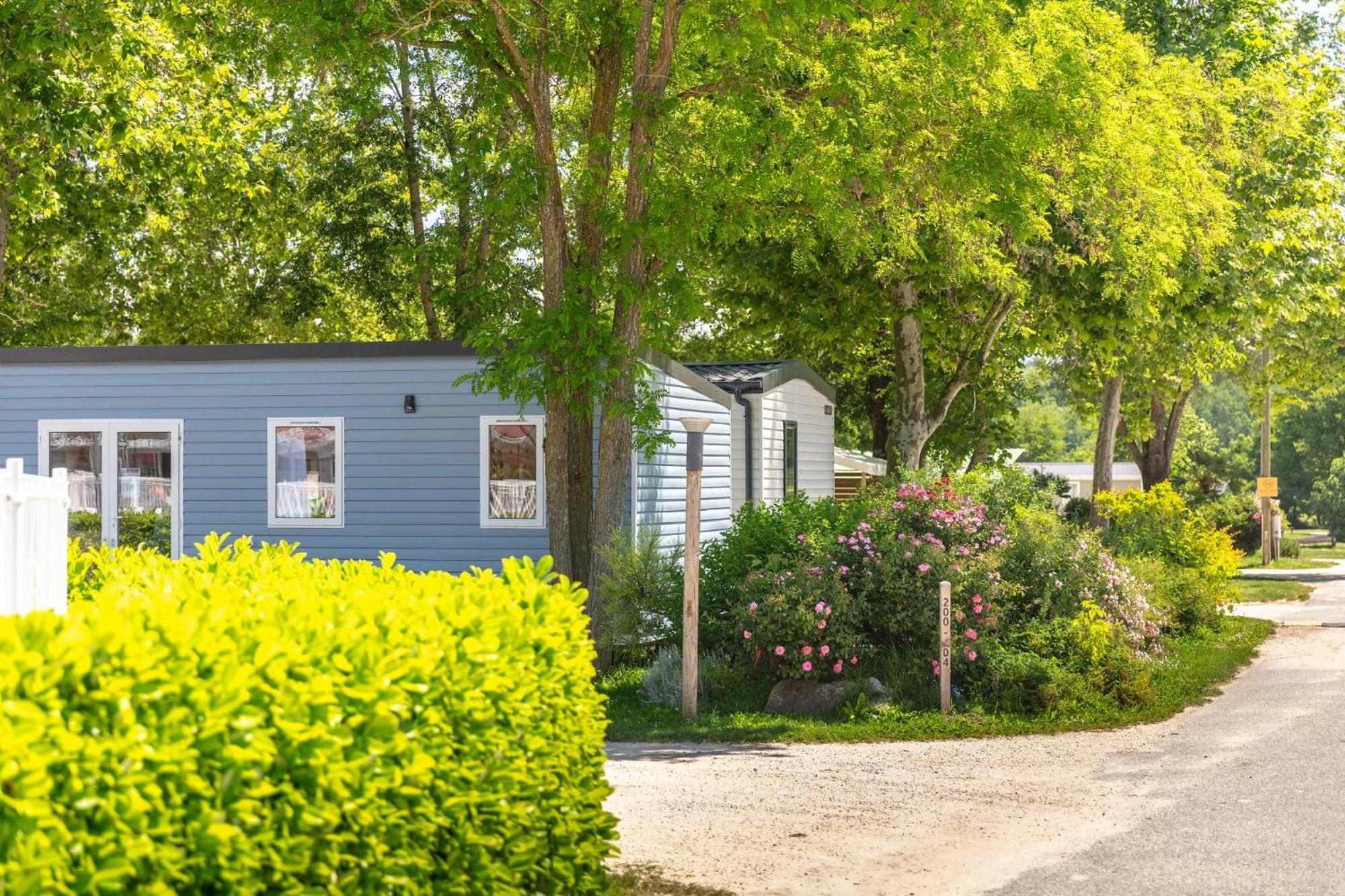 Camping Chateau De Galaure Chateauneuf-de-Galaure Bagian luar foto