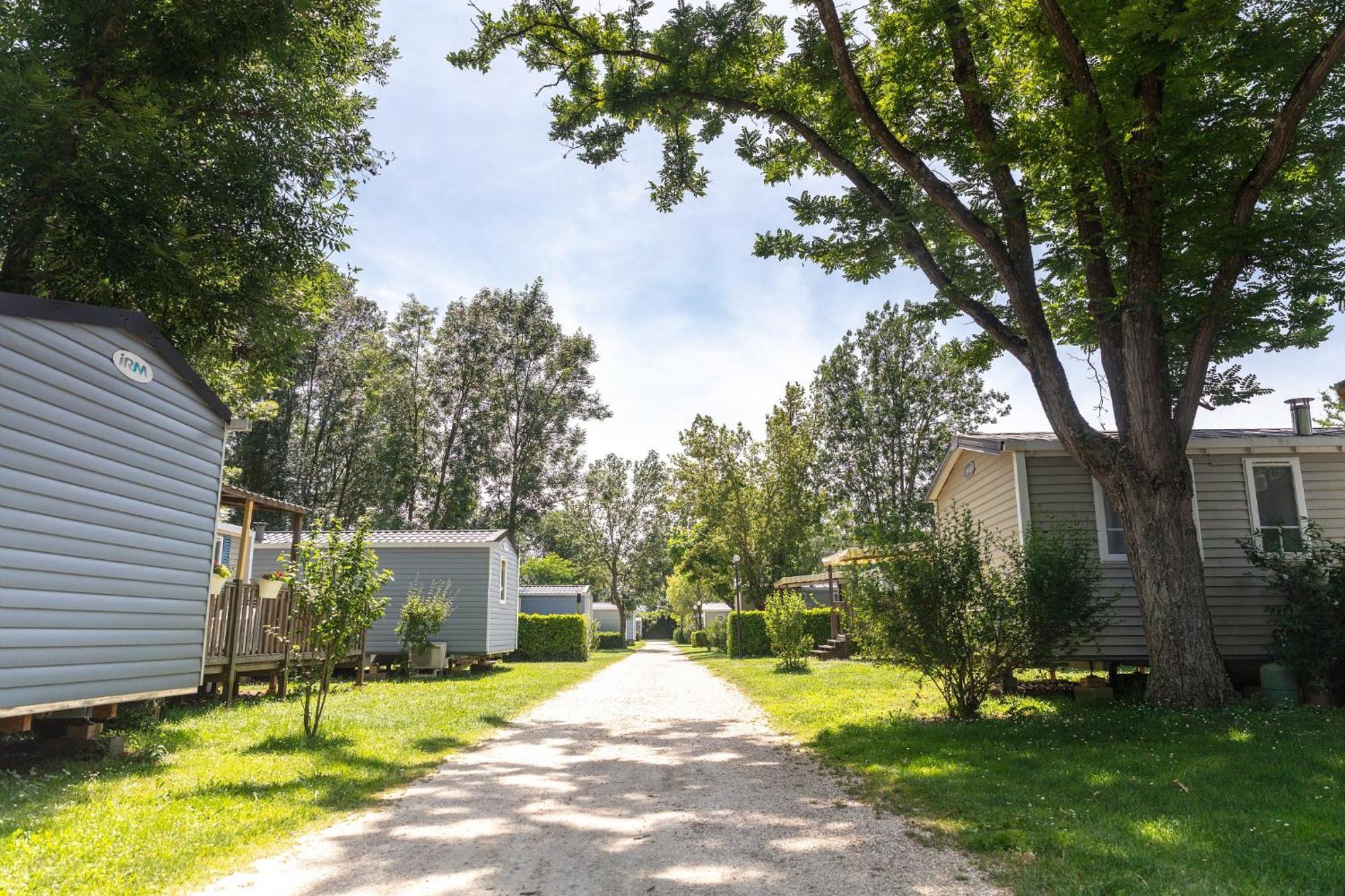 Camping Chateau De Galaure Chateauneuf-de-Galaure Bagian luar foto